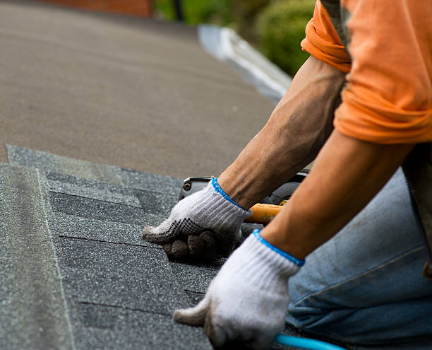 Best Gutter Installation and Roofing  in Harper Woods, MI
